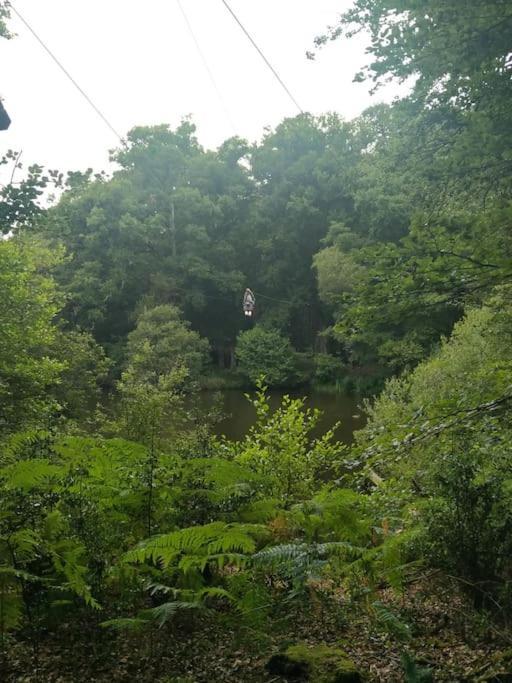 Le Mimosa, Maison De Vacances Trans-la-Foret Bagian luar foto