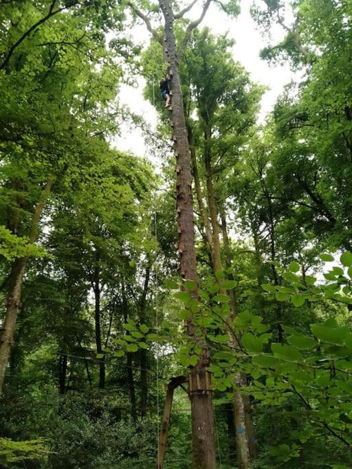 Le Mimosa, Maison De Vacances Trans-la-Foret Bagian luar foto